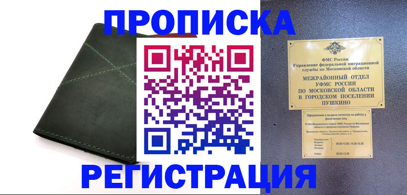 прописка в квартире в Новомичуринске
